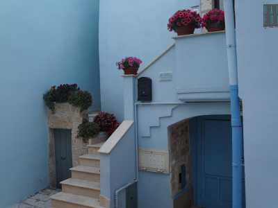 Spiccano un po' ovunque decorazioni floreali allestite in occasione del "Balcone fiorito", l'iniziativa con cui il Comune invita i residenti ad abbellire le proprie abitazioni